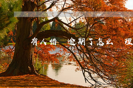 有人借唄逾期了怎么處理(借唄逾期可以消除嗎?)