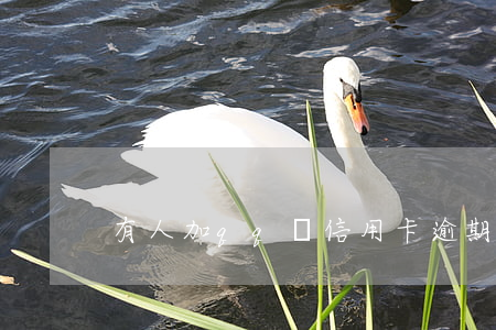 有人加qq說信用卡逾期要起訴