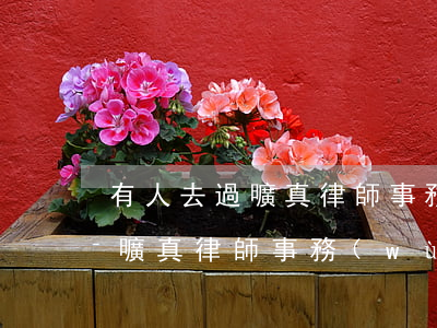 有人去過曠真律師事務(wù)所(有人去過曠真律師事務(wù)所)