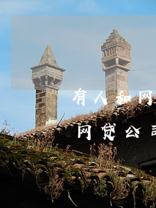 有人和网贷公司协商还款成功的吗-有人和网贷公司协商还款成功的吗是真的吗