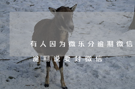 有人因为微乐分逾期微信被封号吗-微乐分逾期说要封微信