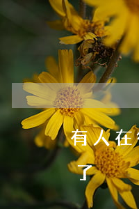 有人在微粒貸逾期的嗎(有多少人微粒貨逾期了)