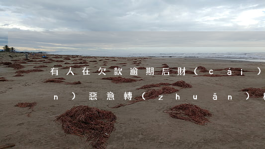 有人在欠款逾期后財(cái)產(chǎn)惡意轉(zhuǎn)移-有人在欠款逾期后財(cái)產(chǎn)惡意轉(zhuǎn)移怎么辦