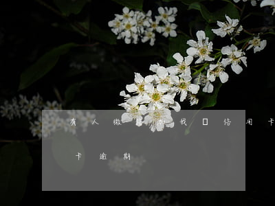 有人微信加我說信用卡逾期(有電話說我信用卡逾期)