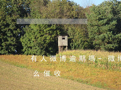 有人微博逾期嗎-微博逾期會(huì)怎么催收