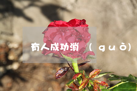 有人成功消過(guò)案底嗎
