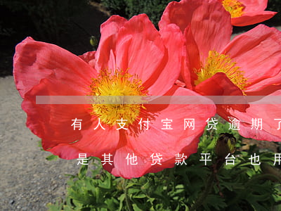 有人支付宝网贷逾期了吗(支付宝有逾期是不是其他贷款平台也用不了)