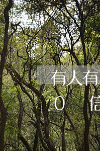有人有10萬信用卡逾期會坐牢嗎(有人有10萬信用卡逾期會坐牢嗎)