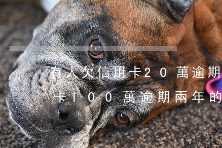 有人欠信用卡20萬逾期超過一年的嗎（信用卡100萬逾期兩年的有嗎）