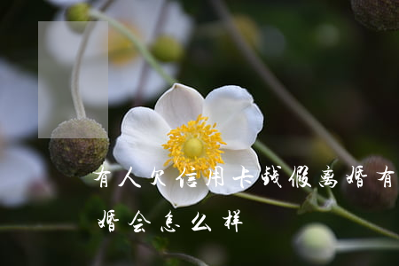 有人欠信用卡钱假离婚(有人欠信用卡钱假离婚会怎么样)