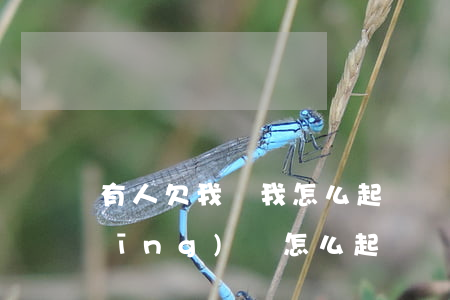 有人欠我錢我怎么起訴(別人欠我錢,我應(yīng)該怎么起訴)