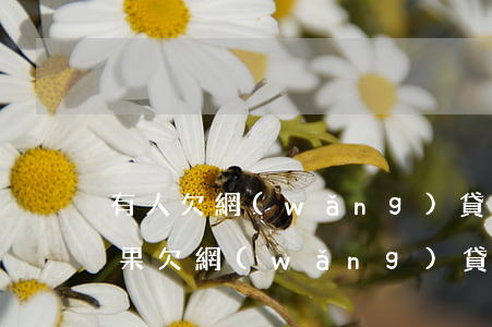 有人欠網(wǎng)貸一輩子不還的嗎(如果欠網(wǎng)貸不還有什么后果)