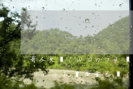 有人欠網(wǎng)貸只還本金嗎(網(wǎng)貸本金已經(jīng)還清了,利息可以不還嗎)