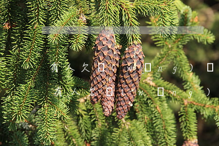 有人欠網(wǎng)貸被起訴了會怎么樣(有人欠網(wǎng)貸被起訴過嗎)