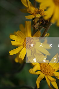 有人欠网贷不还的吗(现在欠网贷的是不是不用还了)