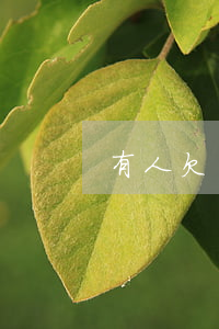 有人欠銀行信用卡被起訴怎么辦-