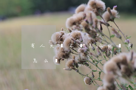 有人欠錢不還怎么起訴(有人欠錢不還起訴書怎么寫)