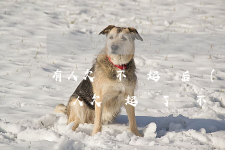 有人欠錢不還起訴后會(huì)怎么處理(別人欠錢起訴了還不還怎么辦)