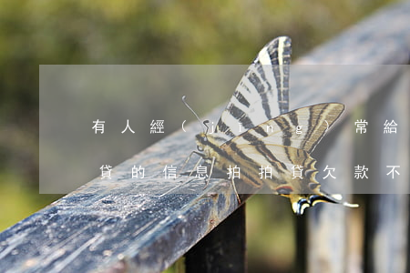 有人經(jīng)常給發(fā)欠拍拍貸的信息(拍拍貸欠款不還為什么只給一個人發(fā)短信)