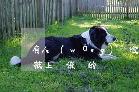 有人網(wǎng)貸逾期上門催債(有沒有被上門催債的)