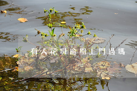 有人花唄逾期上門過嗎