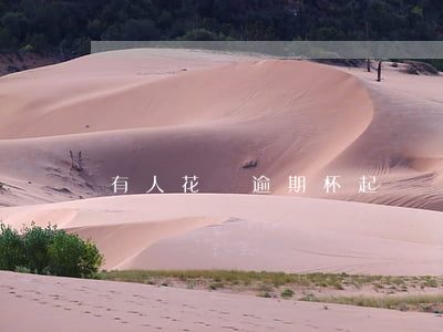 有人花唄逾期杯起訴嗎