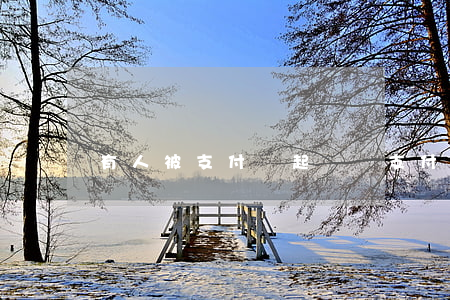 有人被支付寶起訴嗎(支付寶把我起訴了)