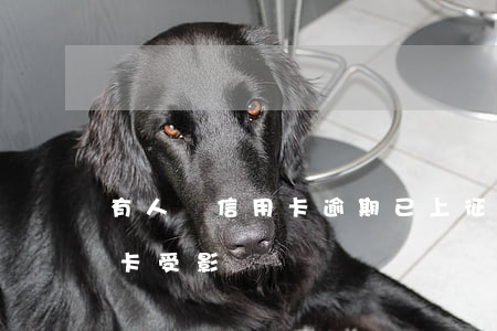 有人說信用卡逾期已上征信(逾期上征信信用卡受影響)