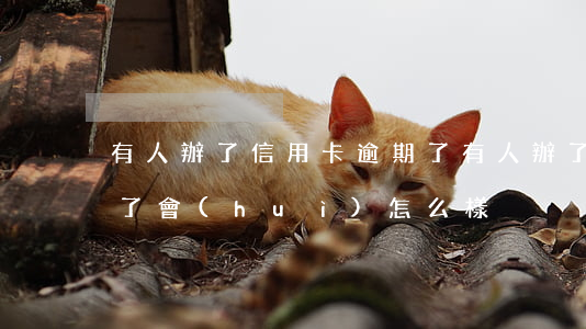 有人辦了信用卡逾期了(有人辦了信用卡逾期了會(huì)怎么樣)