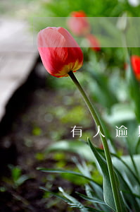 有人逾期被起訴過么(逾期幾年會被起訴)