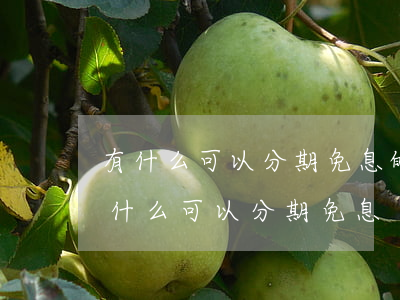 有什么可以分期免息的網(wǎng)貸（有什么可以分期免息）