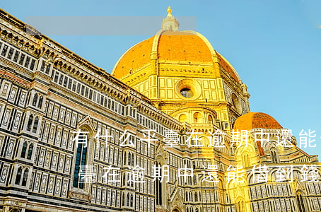 有什么平臺在逾期中還能借到錢-有什么平臺在逾期中還能借到錢呢