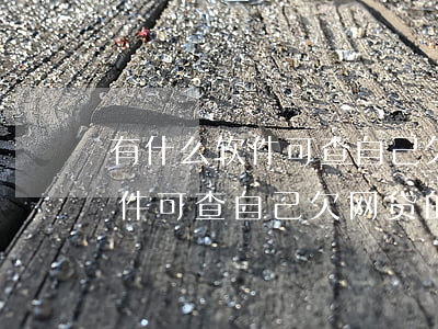 有什么软件可查自己欠网贷的钱-有什么软件可查自己欠网贷的钱呢