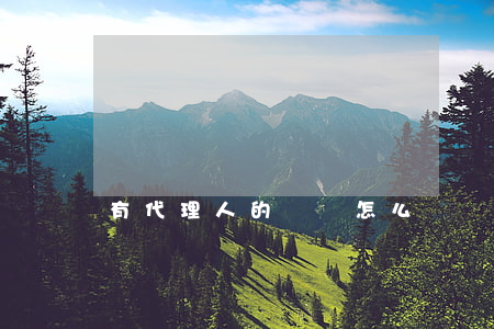 有代理人的訴狀怎么寫