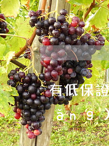 有低保證的人網(wǎng)貸逾期(網(wǎng)貸會影響低保嗎)