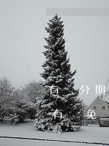 有來分期逾期多久的(來分期貸款逾期后有沒有減免)