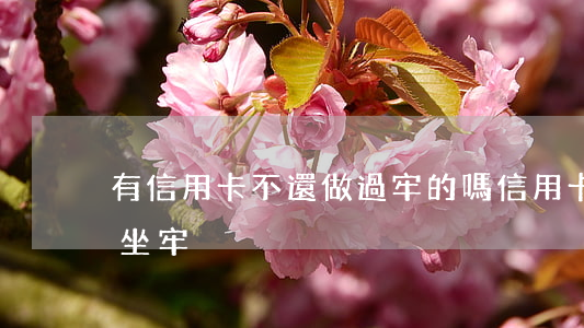 有信用卡不還做過牢的嗎(信用卡不還會不會坐牢)