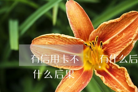 有信用卡不還會有什么后果(欠信用卡不還有什么后果)
