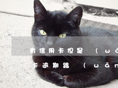 有信用卡但是網(wǎng)貸逾期了(信用卡逾期跟網(wǎng)貸逾期哪個(gè)嚴(yán)重)