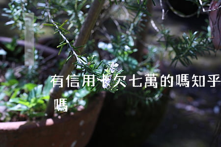 有信用卡欠七萬的嗎知乎（有信用卡欠七萬的嗎）