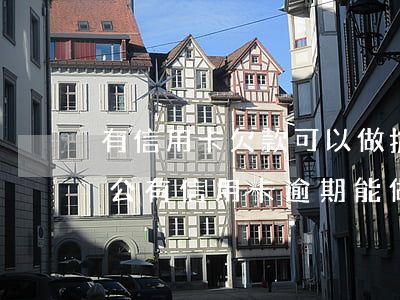 有信用卡欠款可以做擔(dān)保人嗎（老公有信用卡逾期能做擔(dān)保人嗎）
