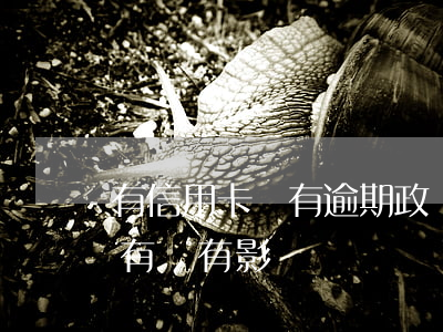 有信用卡沒有逾期政審能過么(政審信用逾期有沒有影響)