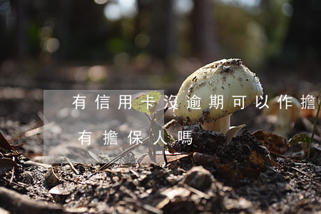有信用卡沒逾期可以作擔保人嗎(辦信用卡會有擔保人嗎)