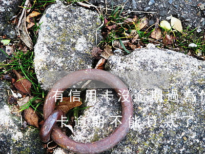 有信用卡沒逾期過為什么貸不了款（這月信用卡逾期不能貸款了）
