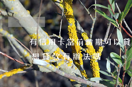 有信用卡當前逾期可以貸款嗎（信用卡有逾期想貸款有辦法嗎）