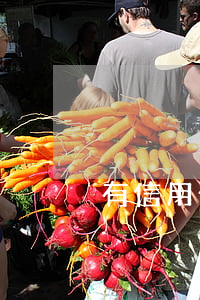 有信用卡网贷未逾期(有信用卡网贷未逾期)