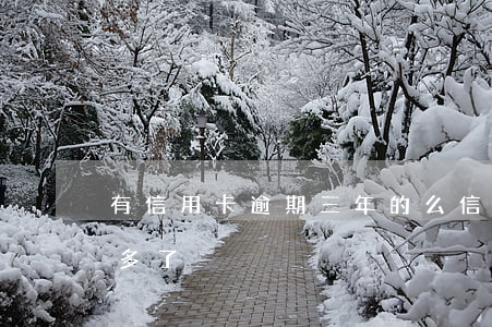 有信用卡逾期三年的么 信用卡3萬逾期一年多了