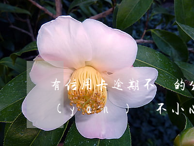 有信用卡逾期不還的分享經(jīng)驗(yàn)嗎(不小心信用卡逾期)