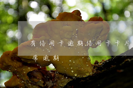 有信用卡逾期（信用卡卡片狀態(tài)異常逾期）