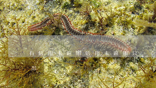 有信用卡逾期（信用卡逾期只進(jìn)不出）